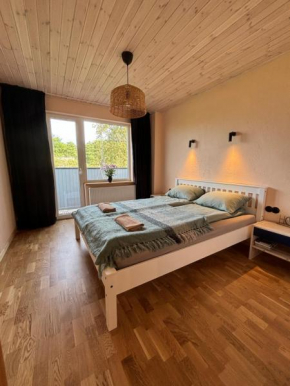 Cozy city apartments in Roja with free parking